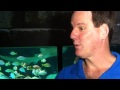Shark Pup Born at UnderWater World