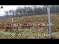 chasse