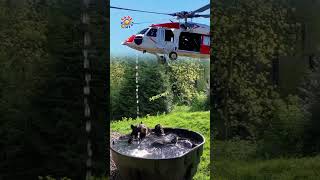 Ay Bu Ne Sıcak