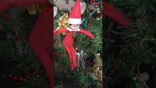 My Two Elfs On The Shelf