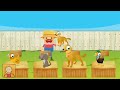 HAV 動画3c