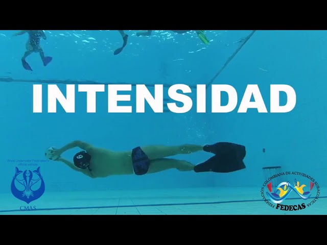 Mi canal