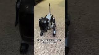 Meet Yin & Yang The Sony Aibo Ers-111S