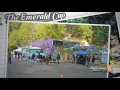 (MARIJUANA) Cannabis Cup 2013 (420) The Emerald Triangle