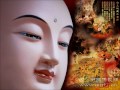 10/143-Ăn chay-Phật Học Phổ Thông-HT Thích Thiện Hoa