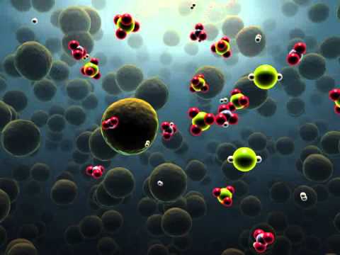 chemosynthesis video chemosynthesis video
