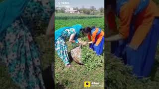 Butiyana Ka Davag