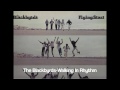 The Blackbyrds ~ Walking In Rhythm