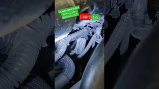 Номер Двигателя Reno Logan Stepway