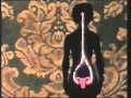EL APARATO REPRODUCTOR MASCULINO y FEMENINO