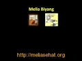 image Bisnis Pt Melia Sehat Sejahtera 4