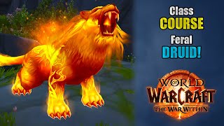 Cl Course A Feral Druid Rotation Guide For Beginners The War Within 11.2