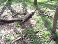 How to leave a camp site