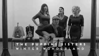 Watch Puppini Sisters Winter Wonderland video