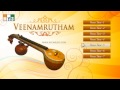 Veenamrutham Instrumental Album Veena Songs Relaxing Music Veenamrutham Instrumental Album Veena Songs Relaxing Music