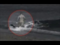 image Killer Whales Eat 11 Year Old Boy