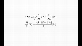 Considerations on operators, quantum mechanics, Schrodinger equation
