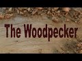 The Woodpecker Ep 70 - Building the new shop part 16 - The Mezzanine