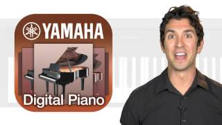 Contemporary Digital Pianos Overview