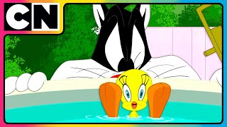 Putty Tat Trouble Looney Tunes Cartoon Network Asia