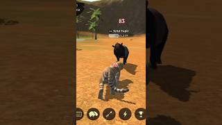 Wild Tapir From Magic Sands Castlecloop, The Tiger Gameplay