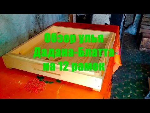 Улей youtube