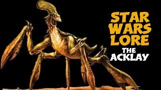 Acklay Star Wars Animals