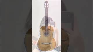 Body Gitar Spanyol Punyak Spederlily
