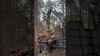 Awesome Way To Pick Up Wood With The 1510G Forwarder #Johndeere #Wood #Forwarder #Viral #Trending