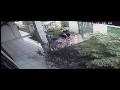 Maling Ketangkap Basah Cctv Rawa Belong images Maling Ketangkap Basah Cctv Rawa Belong
