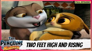 The Penguins Of Madagascar Full Episode Two Feet High And Rising