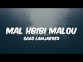 Saad Lamjarred - MAL HBIBI MALOU (Lyrics) | سعد لمجرد - مال حبيبي مالو