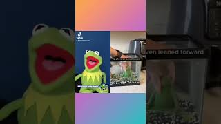 Kermit The Frog Reacts To A Gy Frog Tiktok