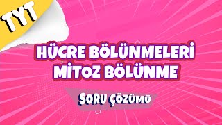 Hücre Bölünmeleri Mitoz Bölünme Soru Çözümü 2022