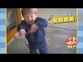 Funny CATS and DOGS Compiations 33 | PETS 2018