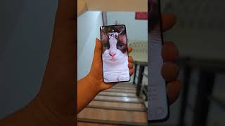 Honor X9C Drop Test