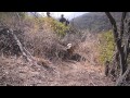 Malibu Search And Rescue Team Training Malibu Search And Rescue Team Training