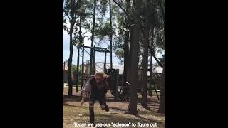 How To Stop A Vicious Bird Magpie Attack