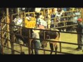 JARIPEO BAILE COMPLETO LA HUERTA ACAT... JARIPEO BAILE COMPLETO LA HUERTA ACAT...