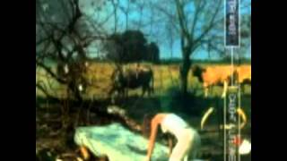 Watch Tori Amos Graveyard video