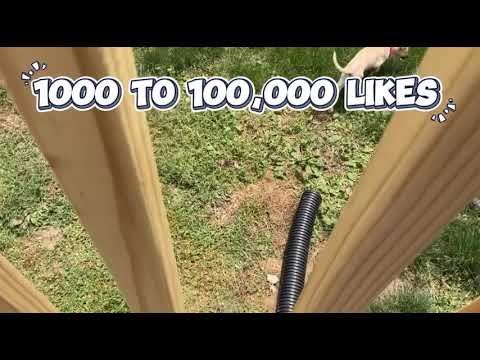 1 to 1 million where I jump