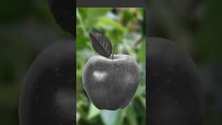 How To Make Transparent Apple In Photoshop Photoshop Tutorial