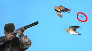 Dove Hunting Üveyik Avı 202021