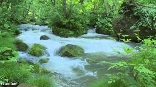 Liquid Mind Letting Go Dreaming Sleep Music Liquid Mind Letting Go Dreaming Sleep Music