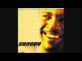 Shaggy - Hot shot