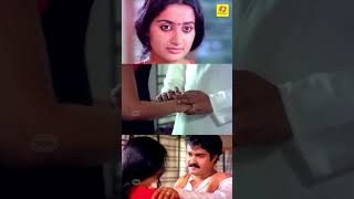 Mohanlal & Sumalatha Romantic Scene Thoovanathumbikal Movie Romantic Scene