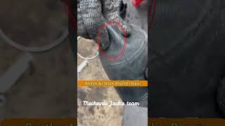 Bentley Air Shock Absorber Repair