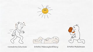 3) Sinnvolle Sonderprogramme (Serie Teil 3 von7)