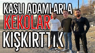 KASLI ADAMLARLA KEKOLARI KIŞKIRTMAK!  #2 - ( KEKOLARA CEZA VERDİK! )