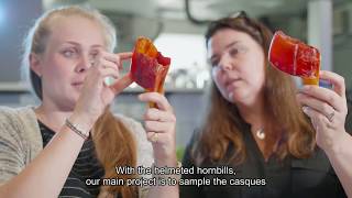 Conservation Forensics Helping to Fight Illegal Wildlife Trafficking (Highlight ver.)